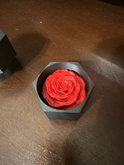 https://makerworld.bblmw.com/makerworld/model/449445/356257/ratings/f3100ac0-e3a1-11f0-a7e5-23895a36c857.jpg