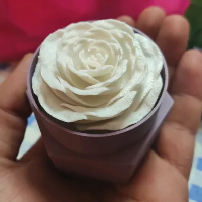 https://makerworld.bblmw.com/makerworld/model/449445/358480/ratings/46538700-0c0e-11f0-a942-73cb958fa150.jpg