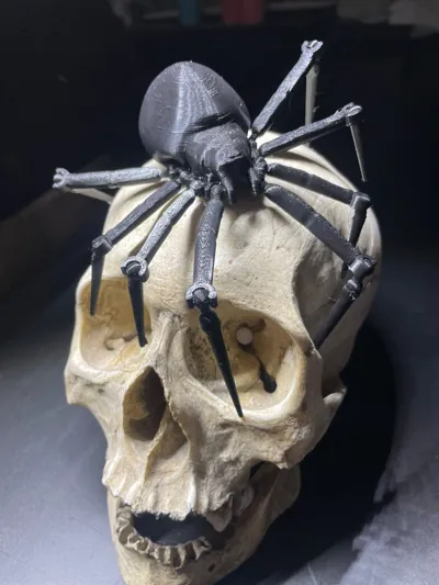 https://makerworld.bblmw.com/makerworld/model/449587/356465/ratings/bceb8f00-1570-11f0-82fa-af02fc1bfde9.jpg