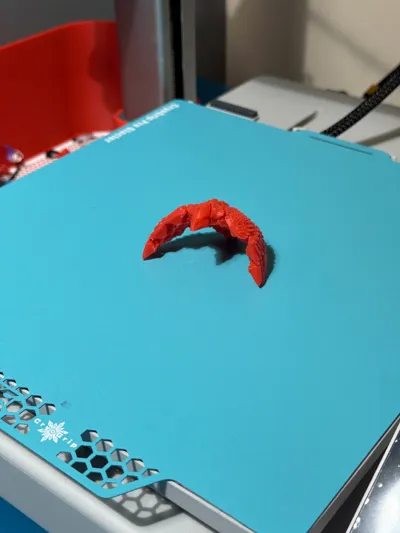 https://makerworld.bblmw.com/makerworld/model/449671/356558/ratings/b7132800-f8f4-11f0-bcb5-116b97e837d0.jpg