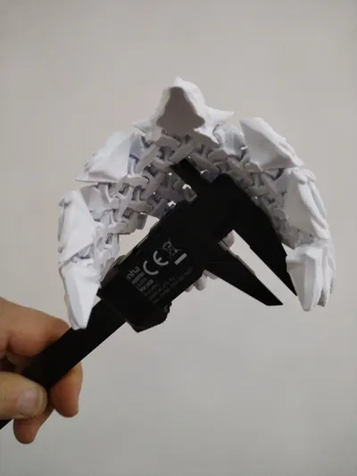 https://makerworld.bblmw.com/makerworld/model/449671/356558/ratings/c7cf6342-ff3d-11ef-a515-07806e68763a.jpg