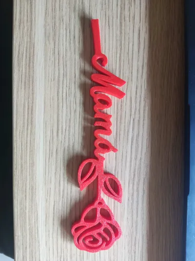 https://makerworld.bblmw.com/makerworld/model/450029/356953/ratings/2b652db0-2b29-11f0-bb84-9b618cd1eeb7.jpg