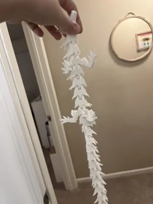 https://makerworld.bblmw.com/makerworld/model/450835/357821/ratings/1729af70-fa45-11ef-ac35-0fed56e798f6.jpg