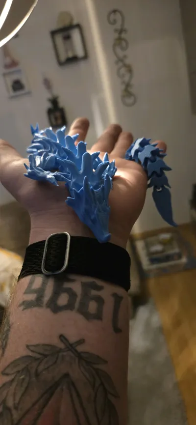 https://makerworld.bblmw.com/makerworld/model/450835/359817/ratings/4666ef20-ad08-11f0-a03f-ef021f216716.jpg