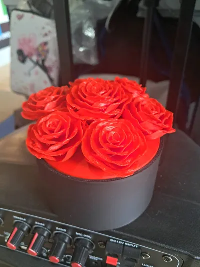 https://makerworld.bblmw.com/makerworld/model/451714/358800/ratings/685c2930-31b4-11f0-8b70-0d106a99e432.jpg