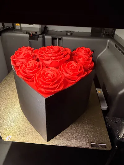https://makerworld.bblmw.com/makerworld/model/451733/358835/ratings/03c454c0-d1f0-11f0-8729-cf5fc1153e7d.jpg