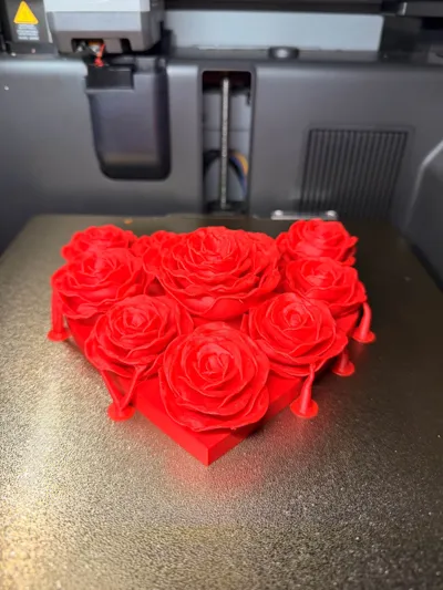 https://makerworld.bblmw.com/makerworld/model/451733/358835/ratings/03cbf5e0-d1f0-11f0-8729-cf5fc1153e7d.jpg