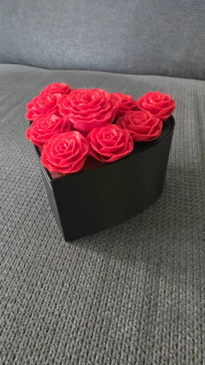https://makerworld.bblmw.com/makerworld/model/451733/358835/ratings/18bbb7f0-9ba5-11f0-b64c-81d19e32289d.jpg