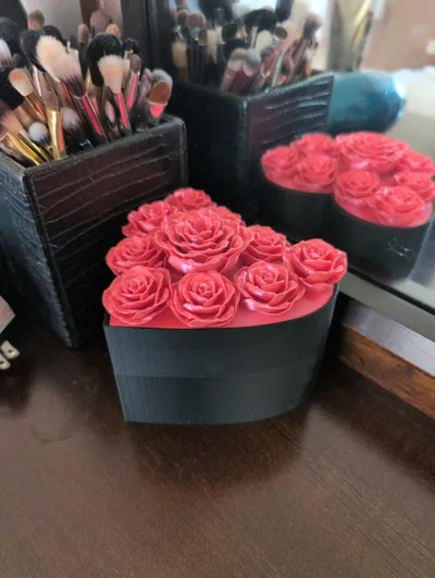 https://makerworld.bblmw.com/makerworld/model/451733/358835/ratings/5e835500-7589-11f0-86b4-9562bc4c0914.jpg