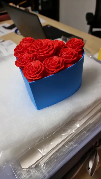 https://makerworld.bblmw.com/makerworld/model/451733/358835/ratings/89eb3080-29a5-11f0-9800-ab686e8c52c6.jpg