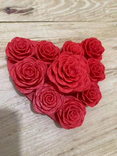 https://makerworld.bblmw.com/makerworld/model/451733/358835/ratings/bb2020b0-209b-11f0-9eef-038dcc801068.jpg