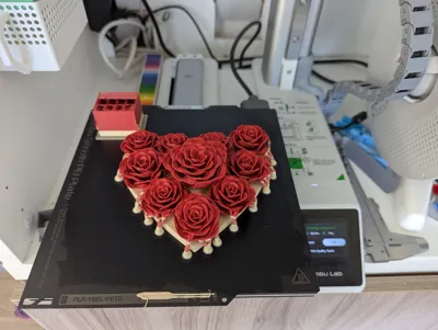 https://makerworld.bblmw.com/makerworld/model/451733/848316/ratings/2025-05-09_5ea2cc65304d78.jpg