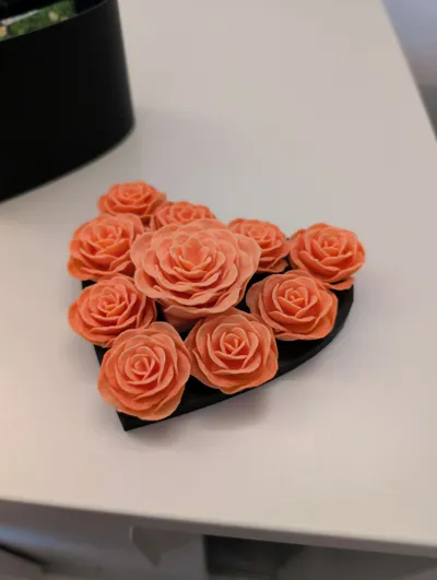 https://makerworld.bblmw.com/makerworld/model/451733/848316/ratings/88b67e80-2e2e-11f0-ad80-07a26d26e44c.jpg