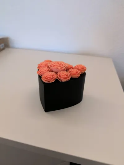 https://makerworld.bblmw.com/makerworld/model/451733/848316/ratings/88d55120-2e2e-11f0-ad80-07a26d26e44c.jpg