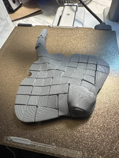 https://makerworld.bblmw.com/makerworld/model/451910/359018/ratings/0bac48f0-41bd-11f0-ac9c-67850b05abcf.jpg