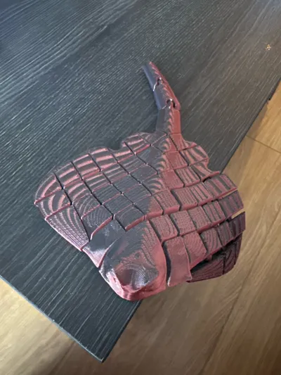 https://makerworld.bblmw.com/makerworld/model/451910/359018/ratings/1a981430-bc82-11f0-9ee8-27444141ca6f.jpg