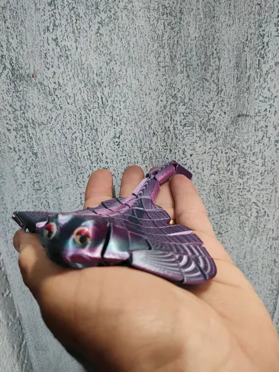 https://makerworld.bblmw.com/makerworld/model/451910/359018/ratings/2231b510-6599-11f0-a9f0-edeb1e909e0b.jpg