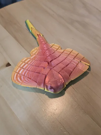 https://makerworld.bblmw.com/makerworld/model/451910/359018/ratings/227c3710-a83e-11f0-8cb9-cfd45a82ca3a.jpg