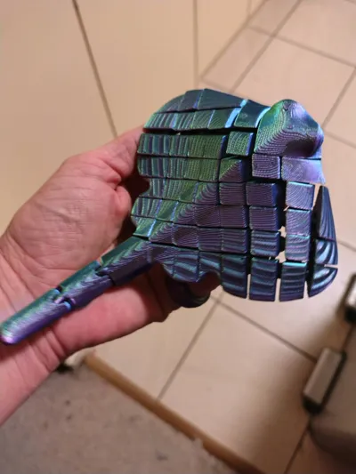 https://makerworld.bblmw.com/makerworld/model/451910/359018/ratings/64be9f60-e938-11f0-a304-d594f50f5127.jpg