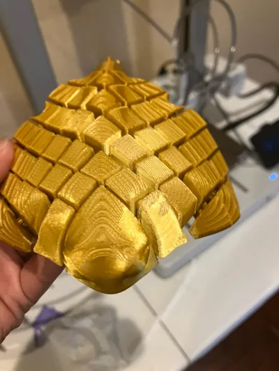 https://makerworld.bblmw.com/makerworld/model/451910/359018/ratings/9e4b1cb0-401c-11f0-844a-df940282780f.jpg