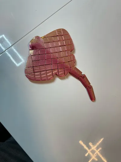 https://makerworld.bblmw.com/makerworld/model/451910/359018/ratings/ca226a30-e80c-11f0-b318-49403973a91b.jpg