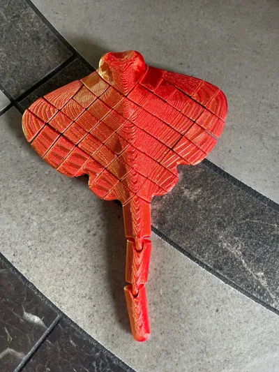 https://makerworld.bblmw.com/makerworld/model/451910/359512/ratings/1d473680-2172-11f0-a43b-1559d0ea8bfd.jpg