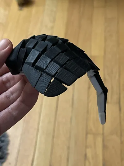 https://makerworld.bblmw.com/makerworld/model/451910/361869/ratings/ff223090-ab66-11f0-afde-6b5e5b1e1efd.jpg