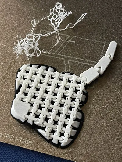 https://makerworld.bblmw.com/makerworld/model/451910/361869/ratings/ff415150-ab66-11f0-afde-6b5e5b1e1efd.jpg