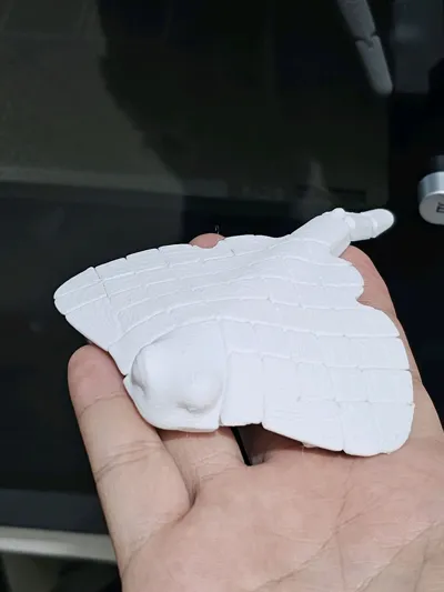 https://makerworld.bblmw.com/makerworld/model/451910/375380/ratings/a2df73c0-c082-11f0-86bb-3926c5d4af1f.jpg