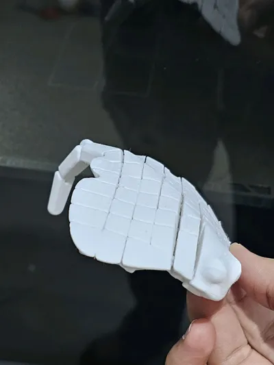 https://makerworld.bblmw.com/makerworld/model/451910/375380/ratings/a2ed2f60-c082-11f0-86bb-3926c5d4af1f.jpg