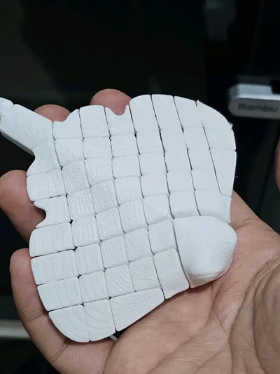 https://makerworld.bblmw.com/makerworld/model/451910/375380/ratings/a2edcba0-c082-11f0-86bb-3926c5d4af1f.jpg