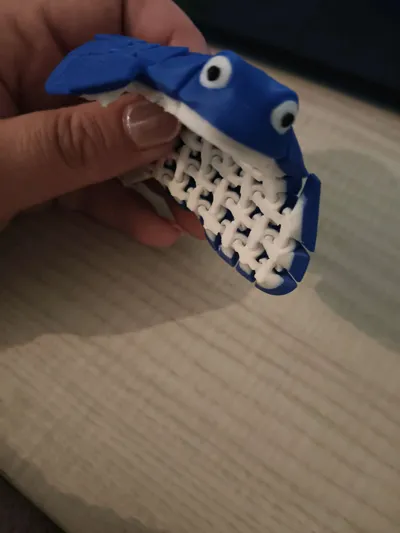 https://makerworld.bblmw.com/makerworld/model/451910/807398/ratings/9f1c6040-a502-11f0-8e9a-235a4b2322cc.jpg