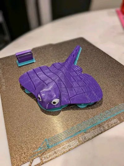 https://makerworld.bblmw.com/makerworld/model/451910/863740/ratings/57db1550-6993-11f0-befa-b73c9d3dd081.jpg