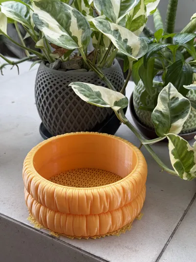 https://makerworld.bblmw.com/makerworld/model/452147/359323/ratings/6e29c1e0-f741-11ef-afdc-630ad6b5576a.jpg