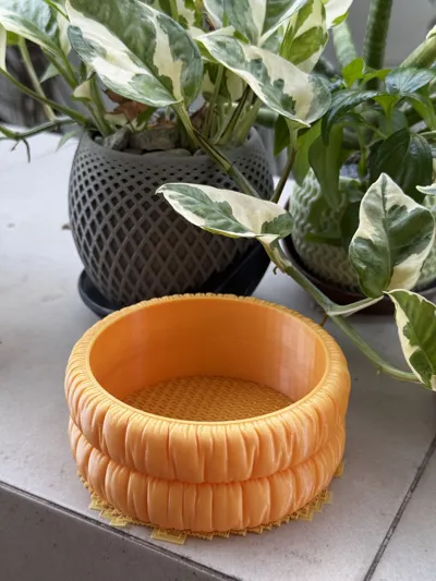 https://makerworld.bblmw.com/makerworld/model/452147/359323/ratings/6e2aac40-f741-11ef-afdc-630ad6b5576a.jpg