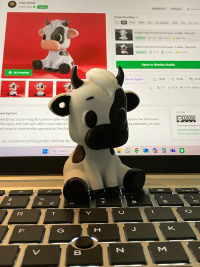 https://makerworld.bblmw.com/makerworld/model/452371/562664/ratings/e841a3f0-5bcb-11f0-964b-d98887253d5d.jpg