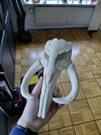 https://makerworld.bblmw.com/makerworld/model/453158/360454/ratings/3f969100-d1c5-11f0-8864-99054414d02d.jpg