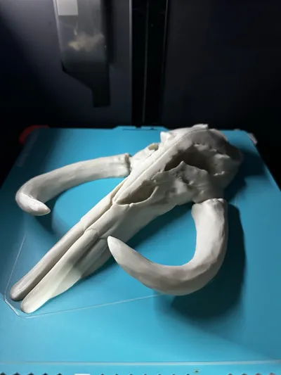 https://makerworld.bblmw.com/makerworld/model/453158/360454/ratings/8483d900-47a3-11f0-a00d-f78f9d5696af.jpg