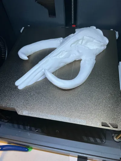 https://makerworld.bblmw.com/makerworld/model/453158/360454/ratings/a68d8070-294c-11f0-99c8-5b55836130a8.jpg