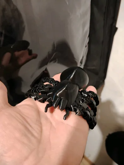 https://makerworld.bblmw.com/makerworld/model/453396/360714/ratings/979a30e0-c5e6-11f0-a81a-8f6e224e6cd2.jpg