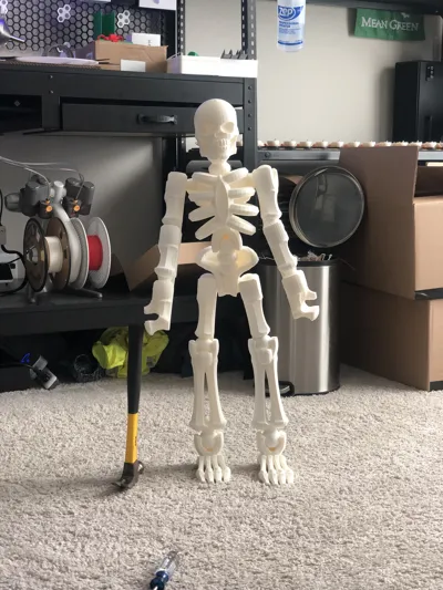Skeleton by Precision 3-D MakerWorld: Download Free 3D Models