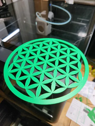 https://makerworld.bblmw.com/makerworld/model/455200/362744/ratings/1d2fdd30-960e-11f0-9d31-f5f7d882eadd.jpg