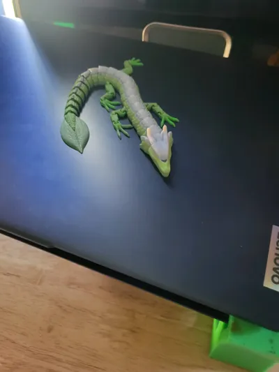 https://makerworld.bblmw.com/makerworld/model/458321/366380/ratings/5fbc5290-275b-11f0-90f3-37cd91b4d2d9.jpg
