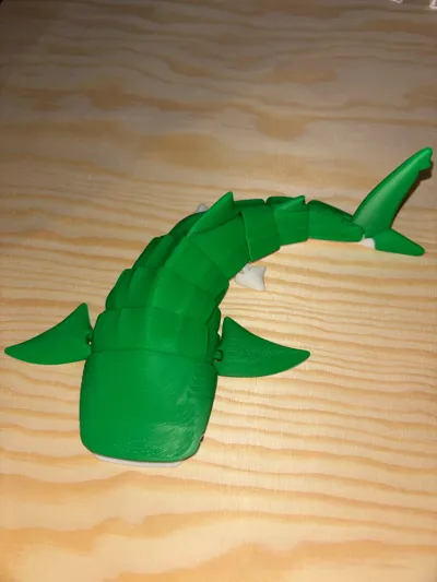 https://makerworld.bblmw.com/makerworld/model/458323/366383/ratings/a2a5c920-2903-11f0-af92-9fe0e40b07a1.jpg