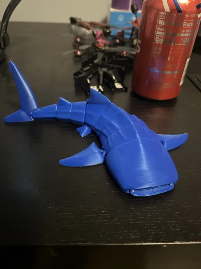 https://makerworld.bblmw.com/makerworld/model/458323/368121/ratings/8c5666a0-0141-11f0-a227-234aea19707b.jpg