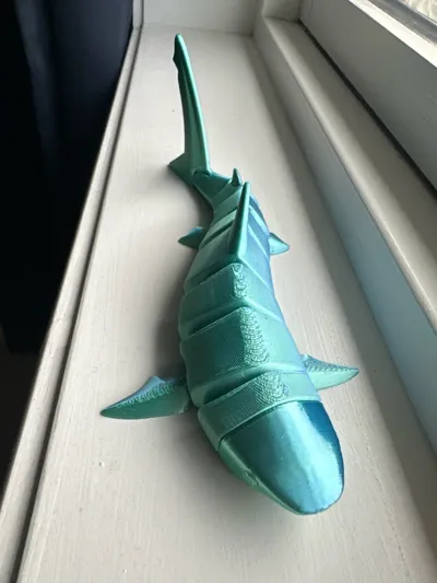 https://makerworld.bblmw.com/makerworld/model/458331/508794/ratings/13652910-ba42-11f0-bfa8-e75119a76492.jpg
