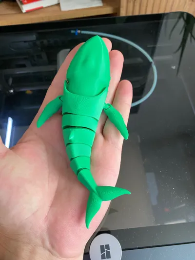 https://makerworld.bblmw.com/makerworld/model/458333/368366/ratings/31111170-9f69-11f0-ae78-cb7fb820d121.jpg