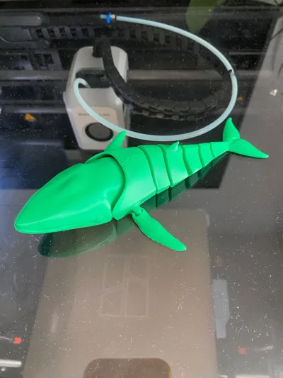 https://makerworld.bblmw.com/makerworld/model/458333/368366/ratings/3152d560-9f69-11f0-ae78-cb7fb820d121.jpg
