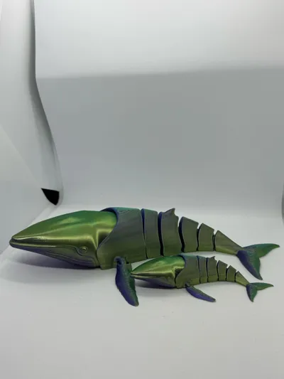 https://makerworld.bblmw.com/makerworld/model/458333/508792/ratings/29538be0-e80f-11f0-8c07-d15bae1b9c40.jpg