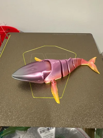 https://makerworld.bblmw.com/makerworld/model/458333/508792/ratings/ed787e70-6602-11f0-ae9a-d51e2fb97b90.jpg